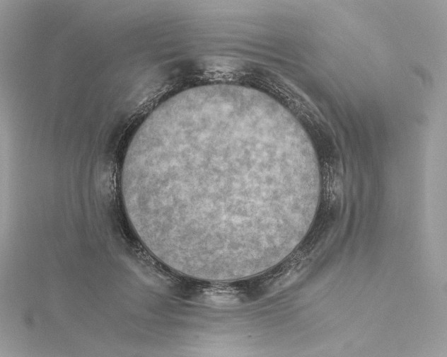 X0000115440603200911251247