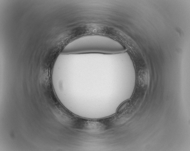 X0000115440605200911251247