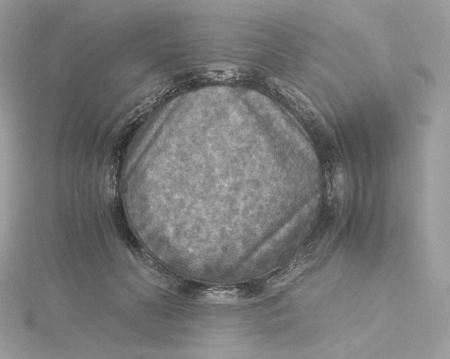 X0000115440606200911251247