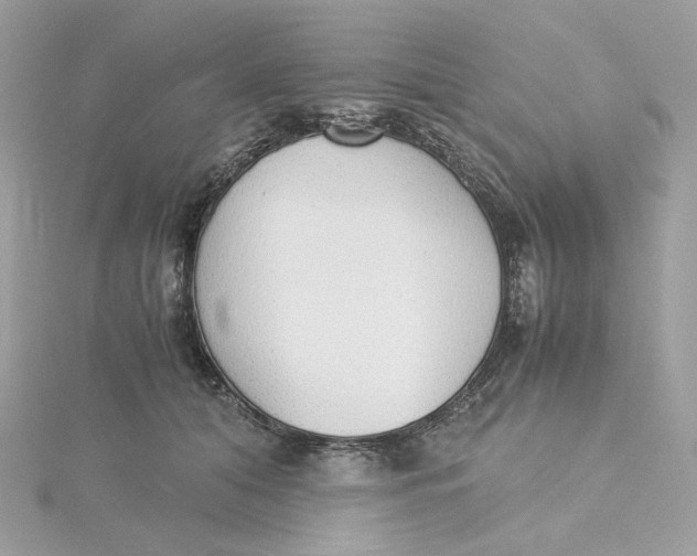 X0000115440608200911251247