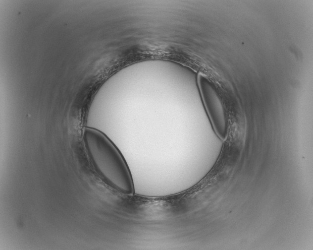 X0000115440609200911251247