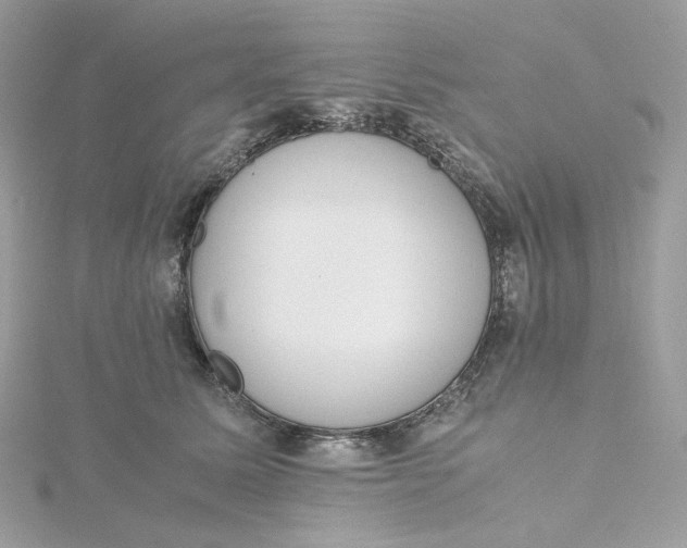 X0000115440611200911251247