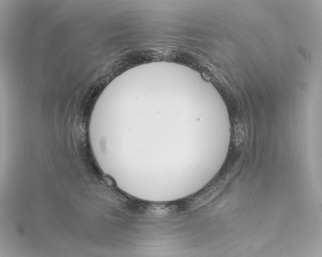 X0000115440613200911251247