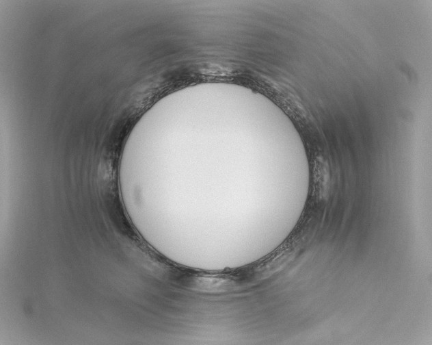 X0000115440614200911251247