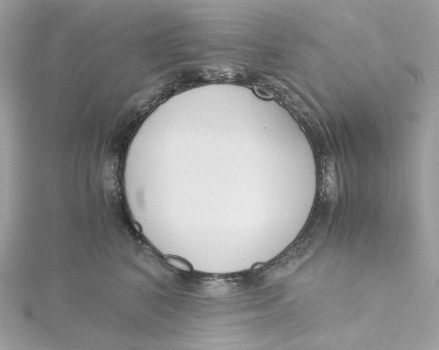 X0000115440616200911251247