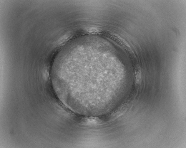 X0000115440618200911251247