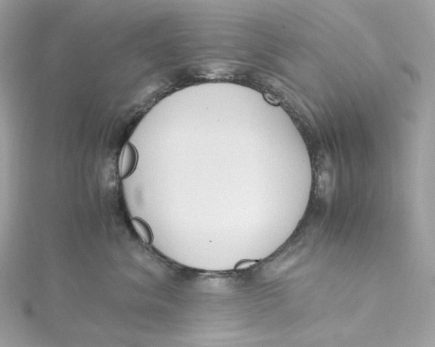 X0000115440620200911251247