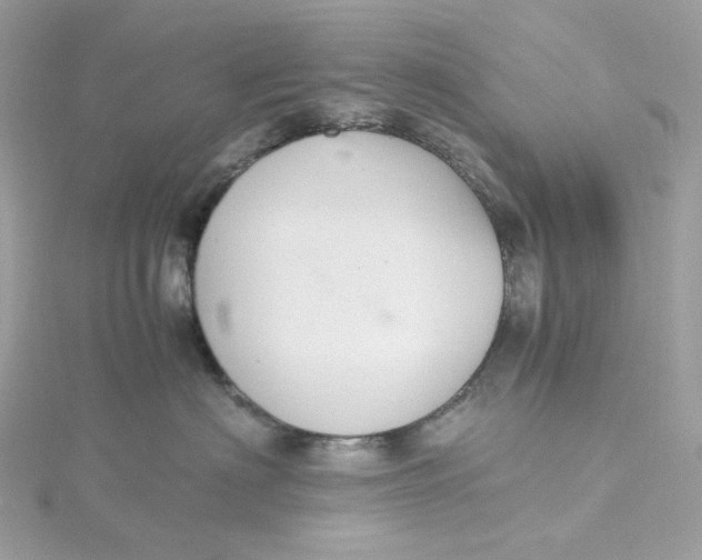 X0000115440622200911251247