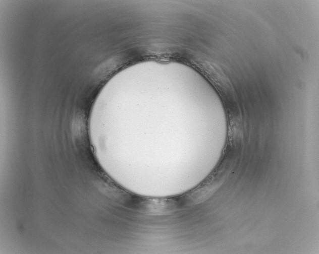 X0000115440623200911251247