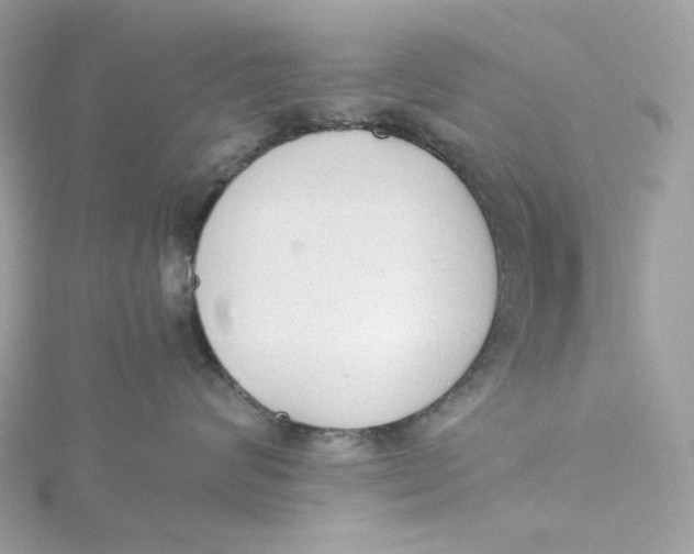 X0000115440624200911251247