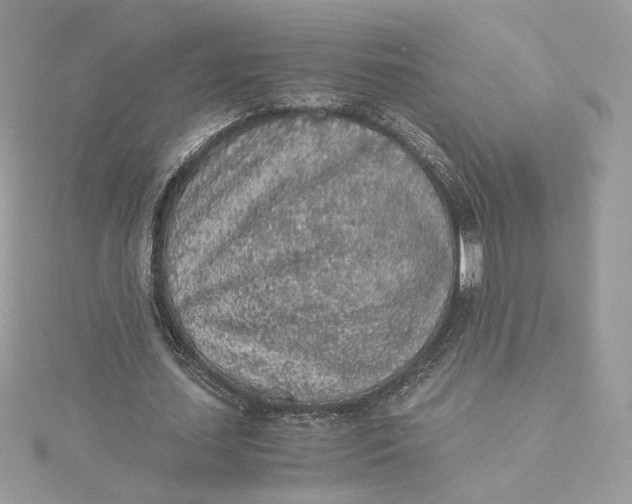X0000115440627200911251246