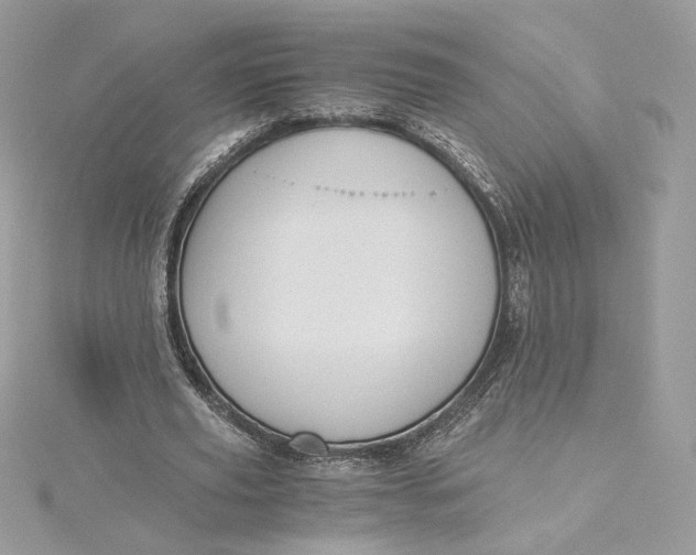 X0000115440629200911251246