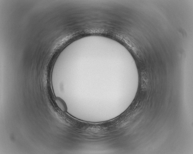 X0000115440631200911251246