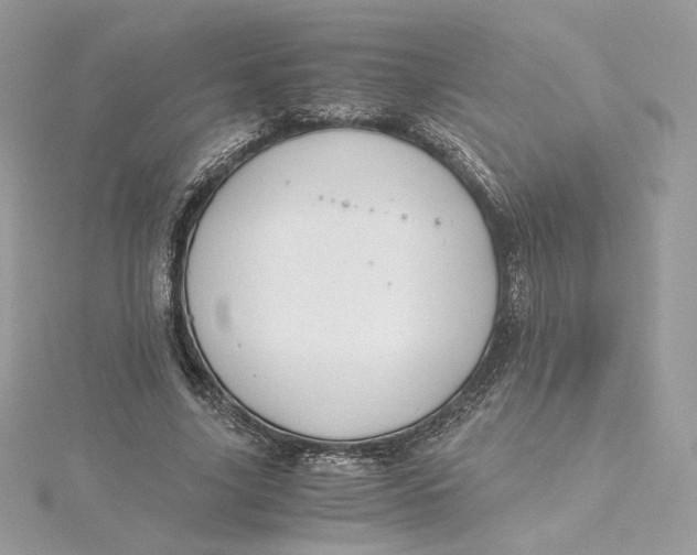 X0000115440635200911251246