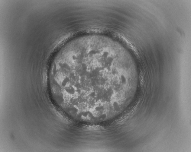 X0000115440637200911251246