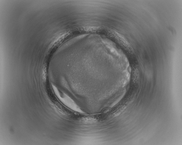 X0000115440644200911251246