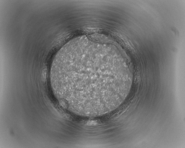 X0000115440647200911251247