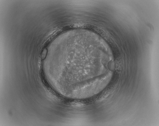 X0000115440648200911251247