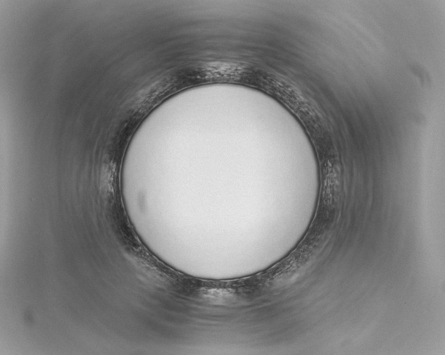 X0000115440649200911251247