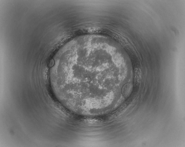 X0000115440650200911251247