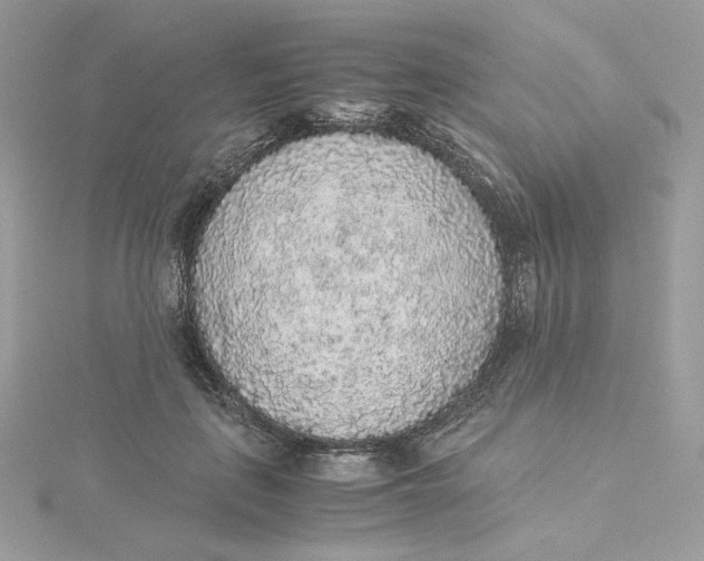 X0000115440651200911251247