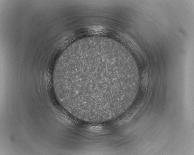 X0000115440653200911251247