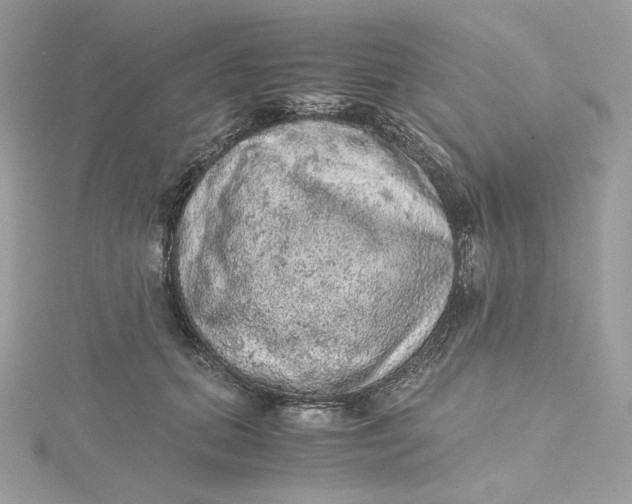 X0000115440655200911251247