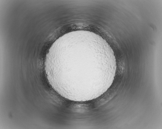 X0000115440657200911251247