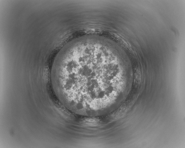 X0000115440659200911251247