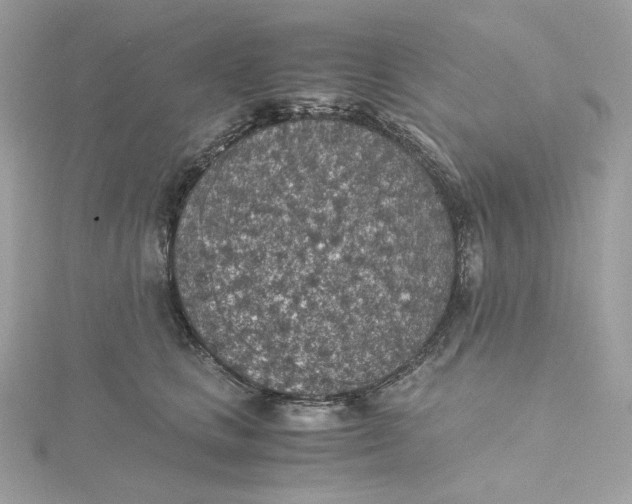 X0000115440661200911251247