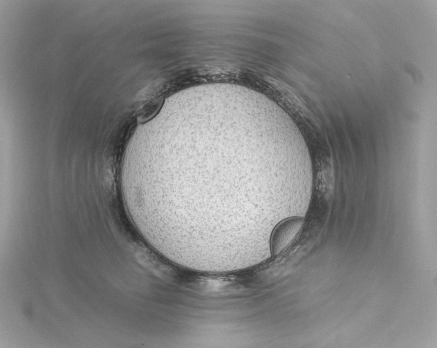 X0000115440662200911251247