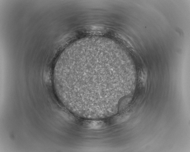 X0000115440663200911251247