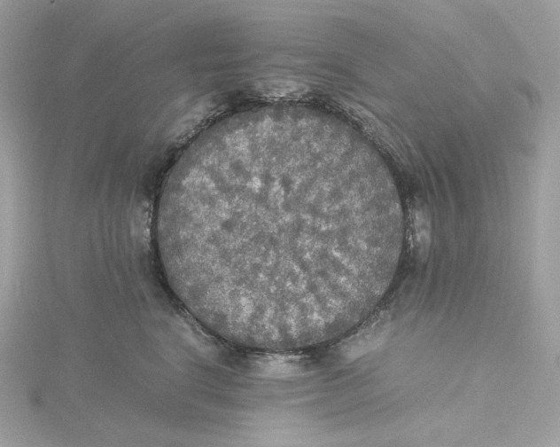 X0000115440664200911251247