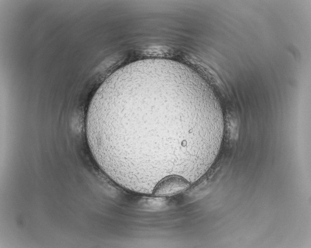 X0000115440665200911251247