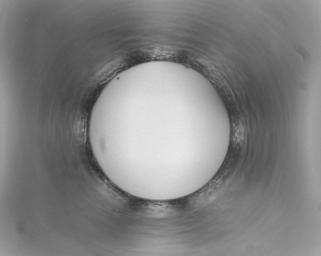 X0000115440666200911251247