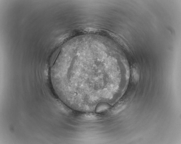 X0000115440668200911251247