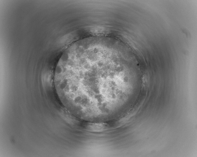 X0000115440671200911251247