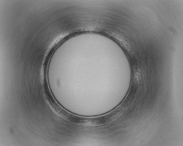 X0000115440678200911251246