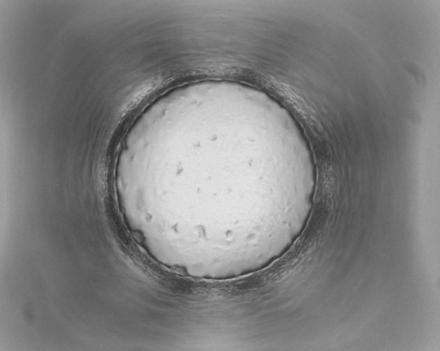 X0000115440679200911251246