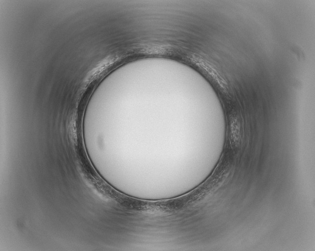 X0000115440682200911251246