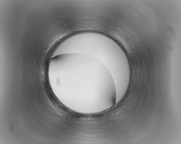 X0000115440688200911251246