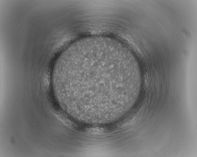 X0000115440691200911251246