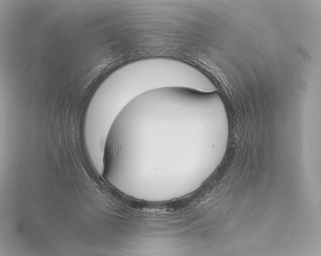 X0000115440693200911251246