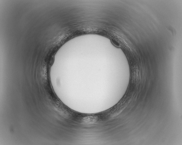 X0000115440700200911251246