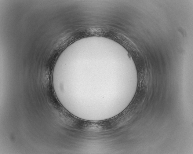 X0000115440702200911251246