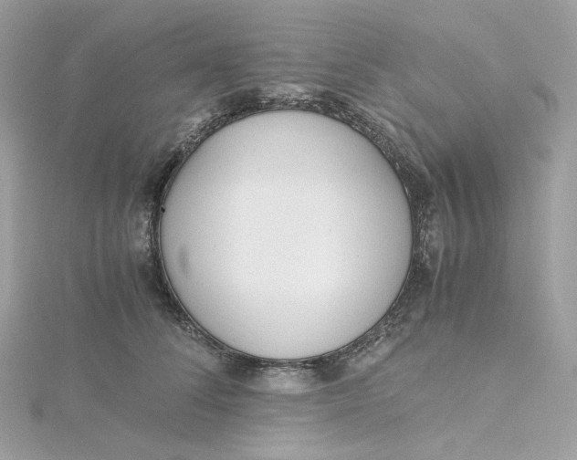 X0000115440708200911251246