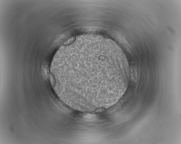 X0000115440718200911251246