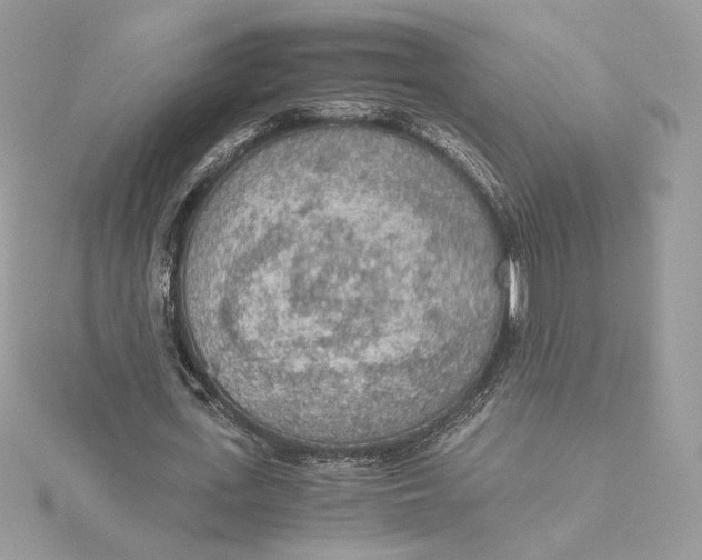 X0000115440723200911251245