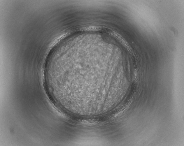 X0000115440725200911251245