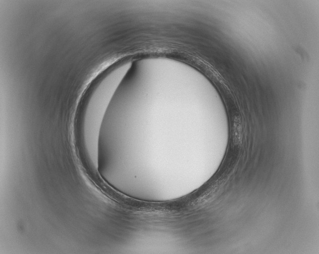 X0000115440726200911251245